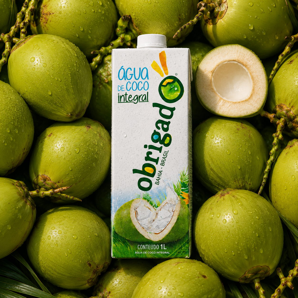 Água de coco Obrigado sobre cocos verdes frescos